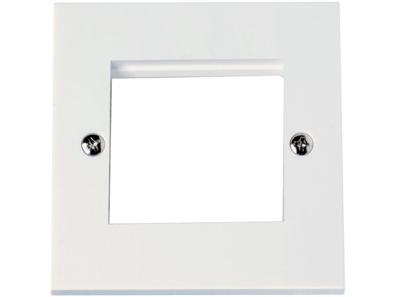 CLICK Outlet 2 Module WHITE